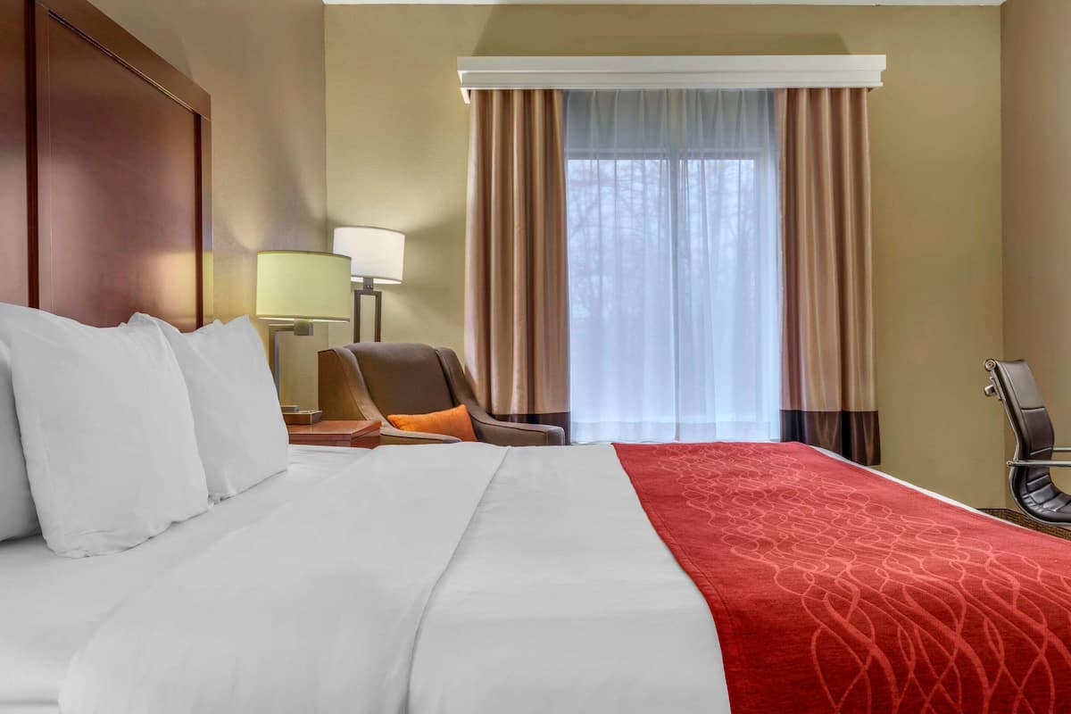 standard room, 1 king bed, non smoking | desk, iron/ironing board, free cots/infant beds, rollaway beds