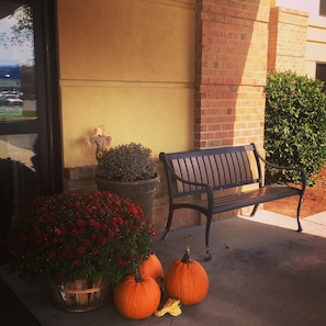 Un banc, un jardinier avec des fleurs et des citrouilles devant un bâtiment.