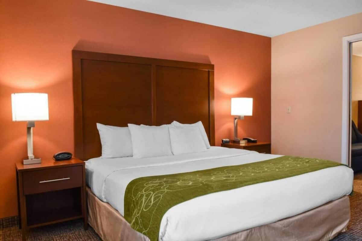 Une chambre d’hôtel avec un grand lit, deux tables de chevet avec des lampes, un plaid vert et une tête de lit en bois.