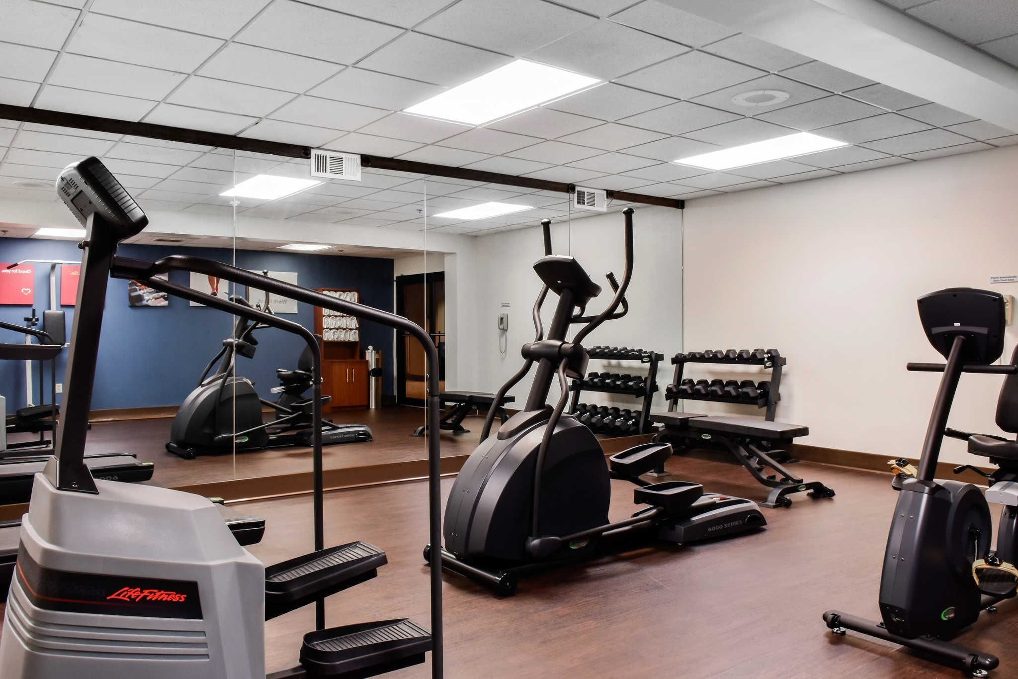 A gym with treadmills, elliptical machines, and a weight rack.
