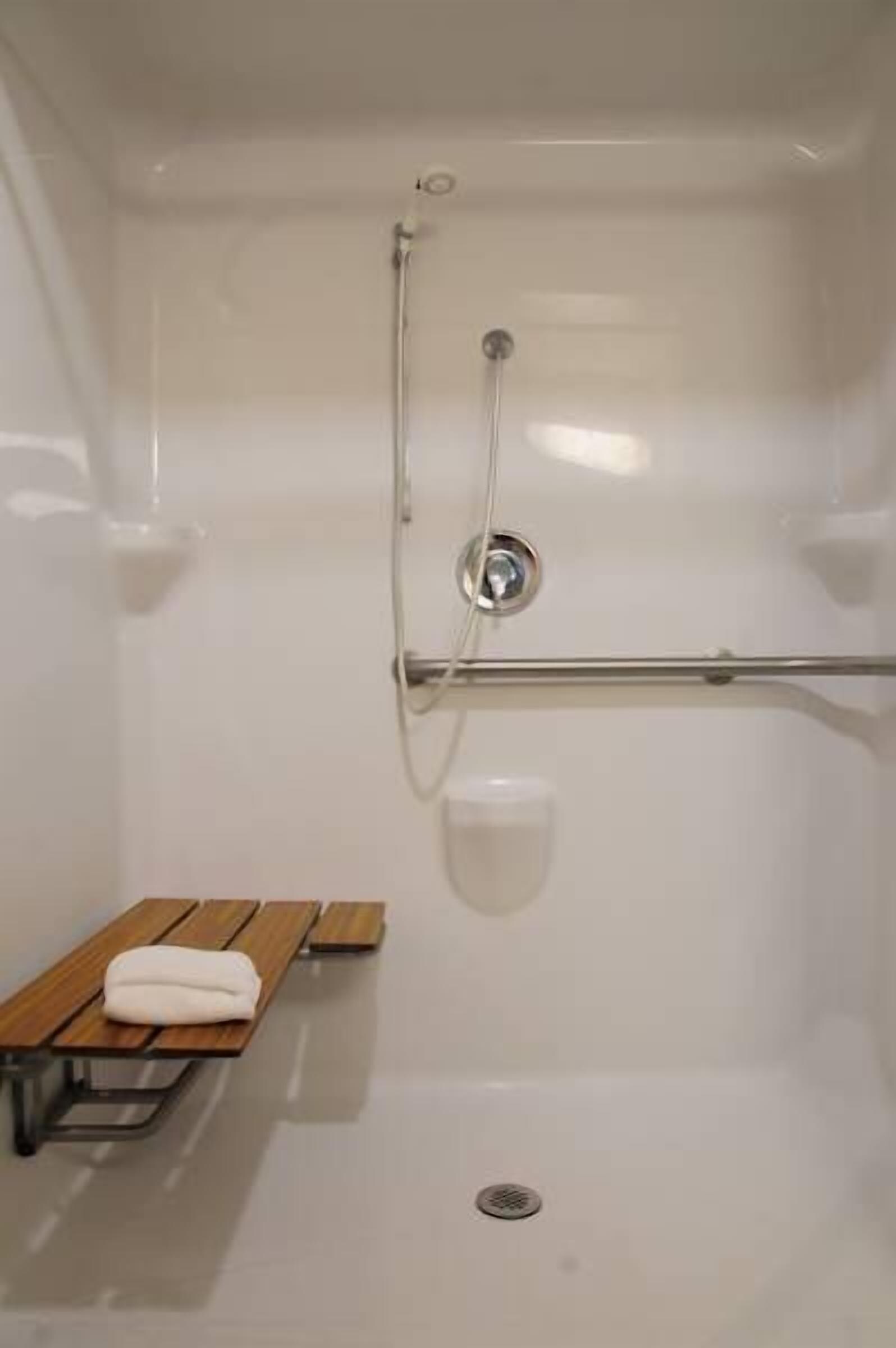 standard room, accessible (accessible tub) | bathroom shower