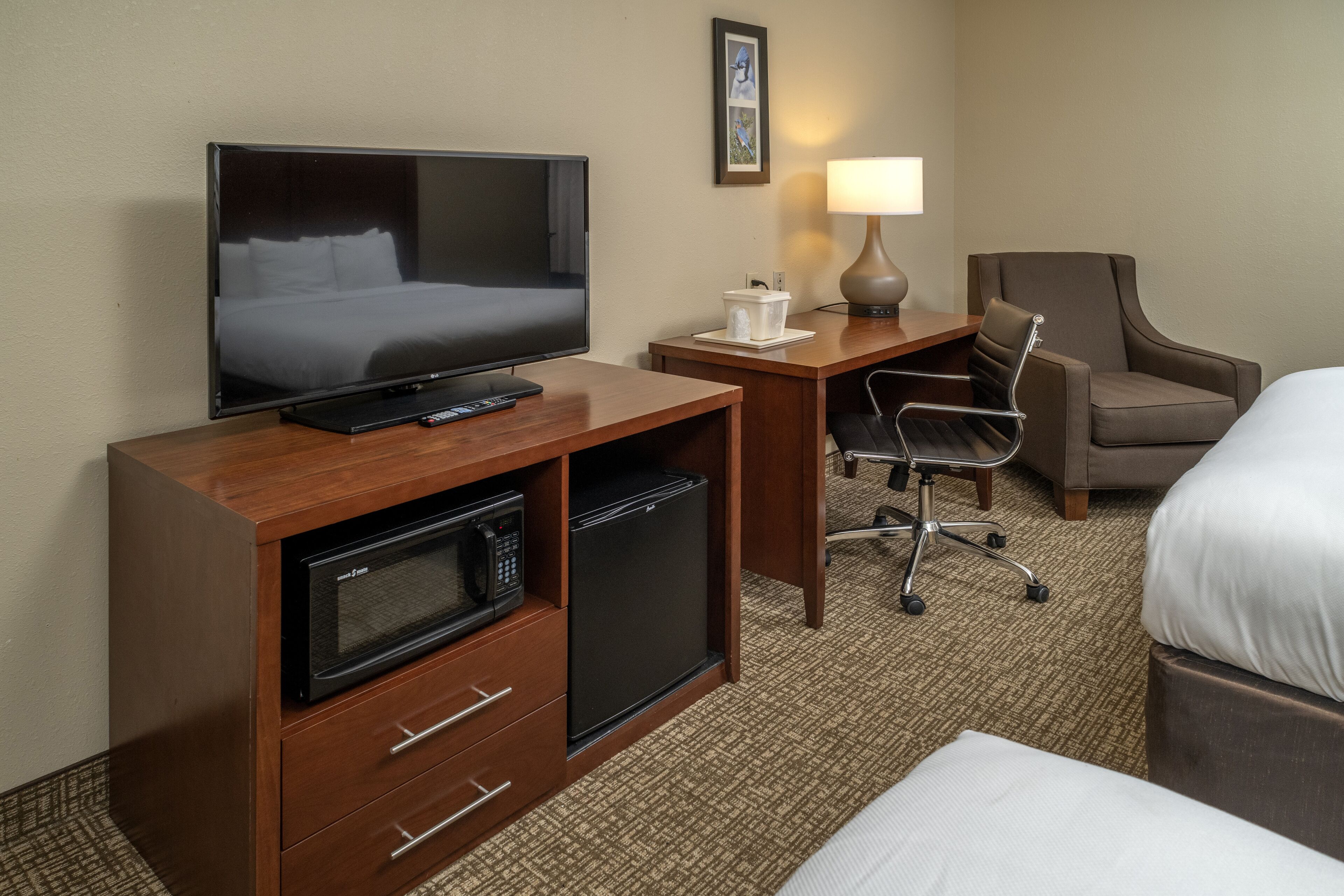 A hotel room with a bed, a desk with a television, a microwave, a refrigerator, and a chair.