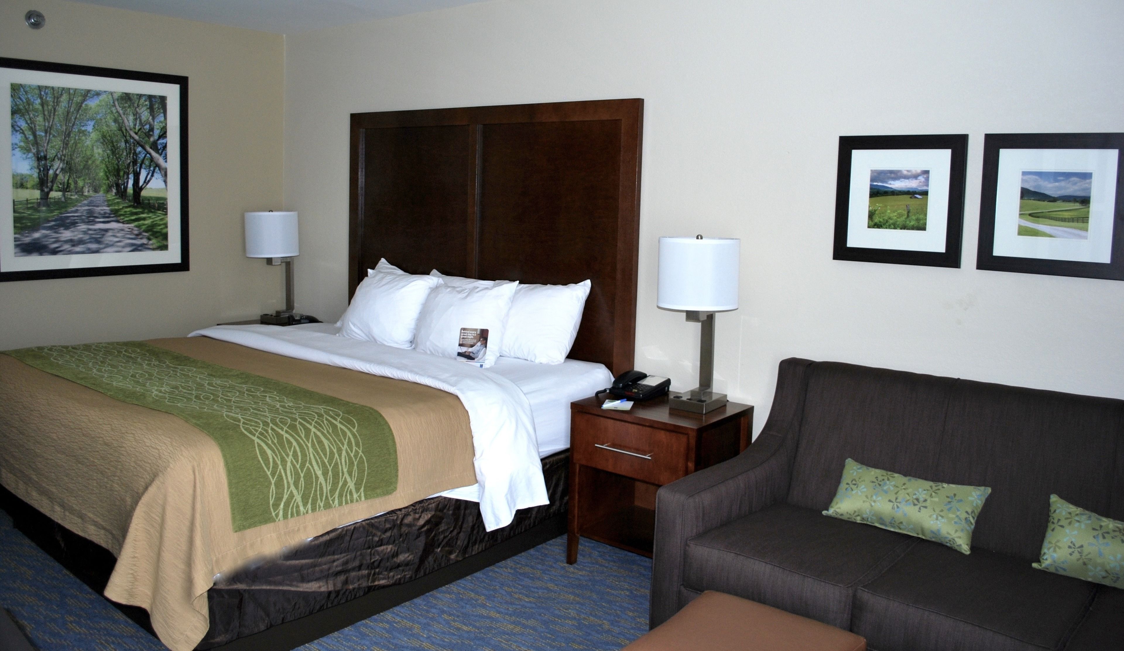 standard room, 1 king bed, non smoking | desk, iron/ironing board, free wifi, bed sheets