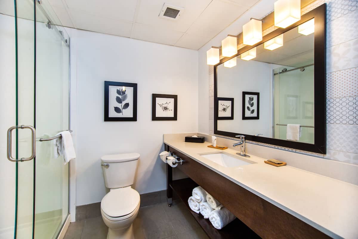 free toiletries, hair dryer, towels, soap