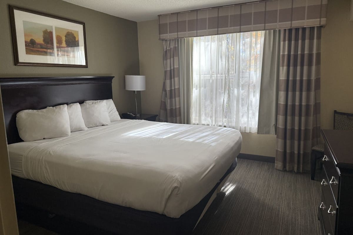 A hotel room with a large bed, a nightstand with a lamp, a window with curtains, and a framed picture on the wall.