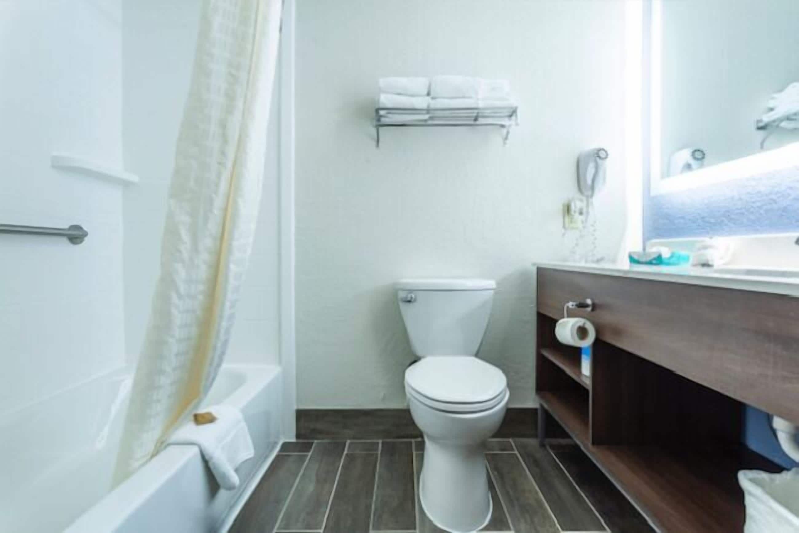 A bathroom with a toilet, a shower, a towel rack, and a vanity with a mirror.