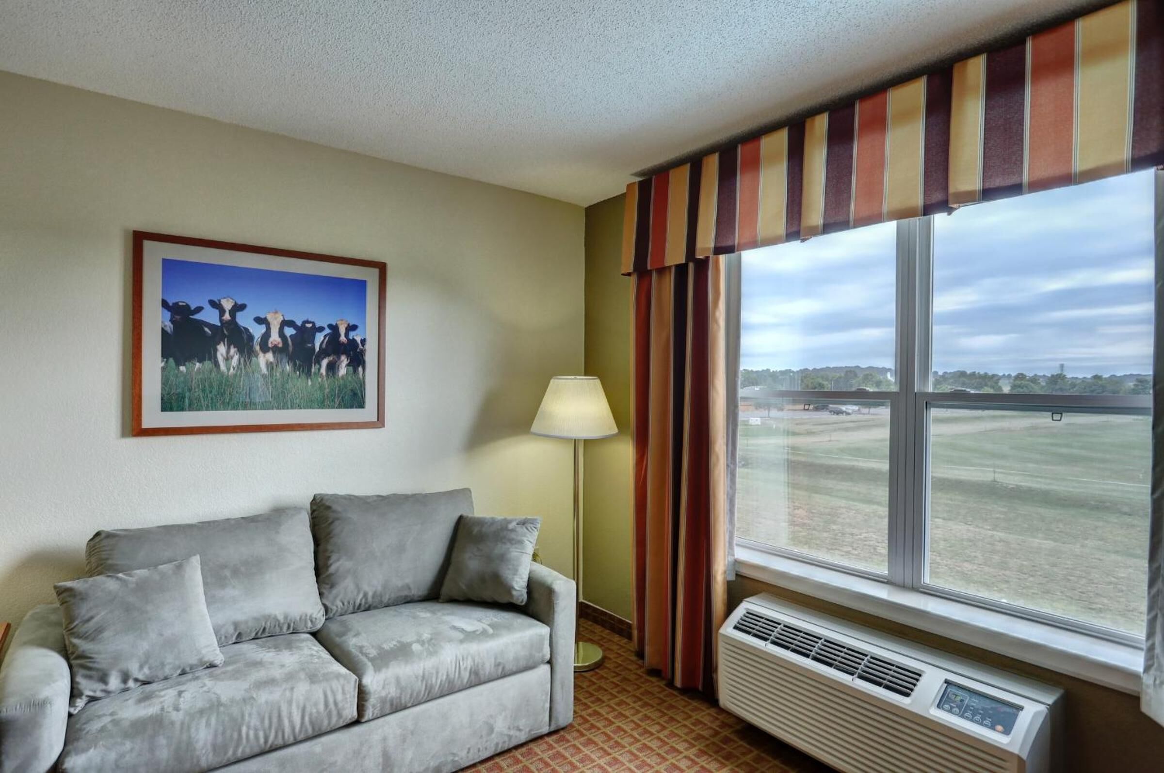 A room with a grey sofa, a framed picture of cows, a lamp, and a window with curtains.