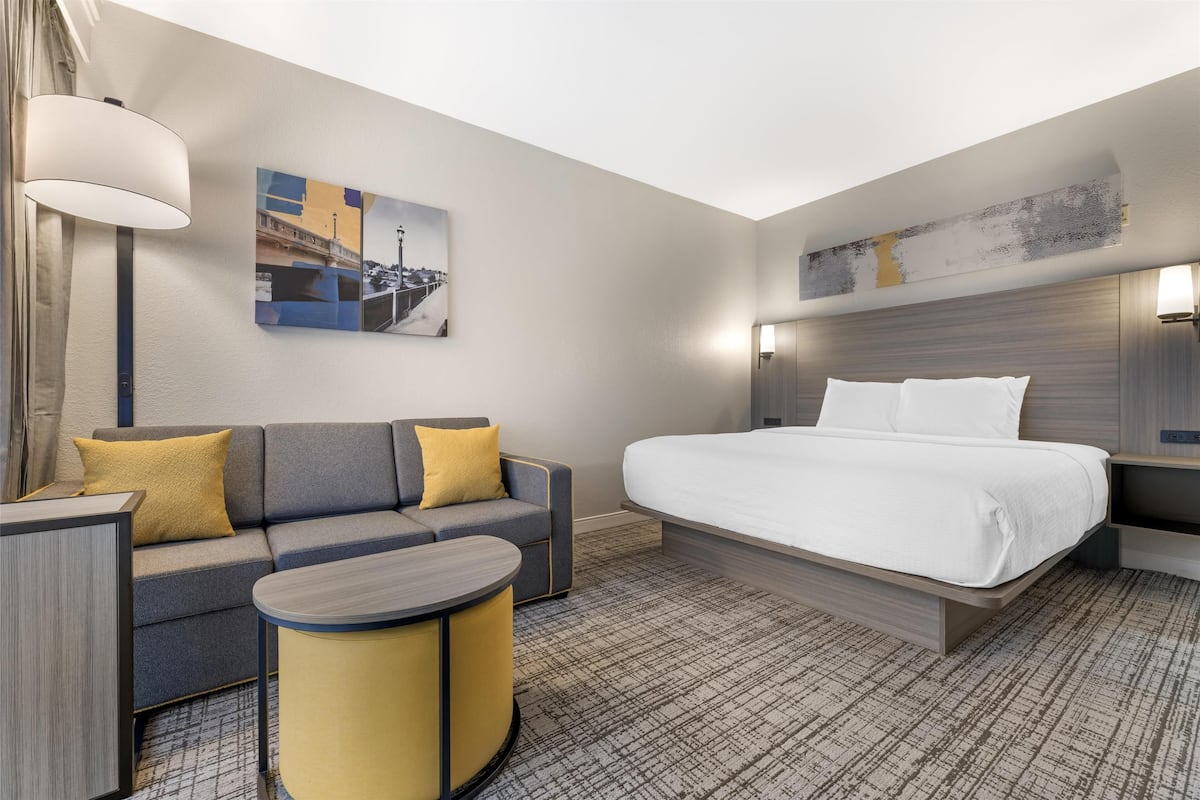 Standard Room, 1 King Bed, Non Smoking, Patio (with Single Sofabed)