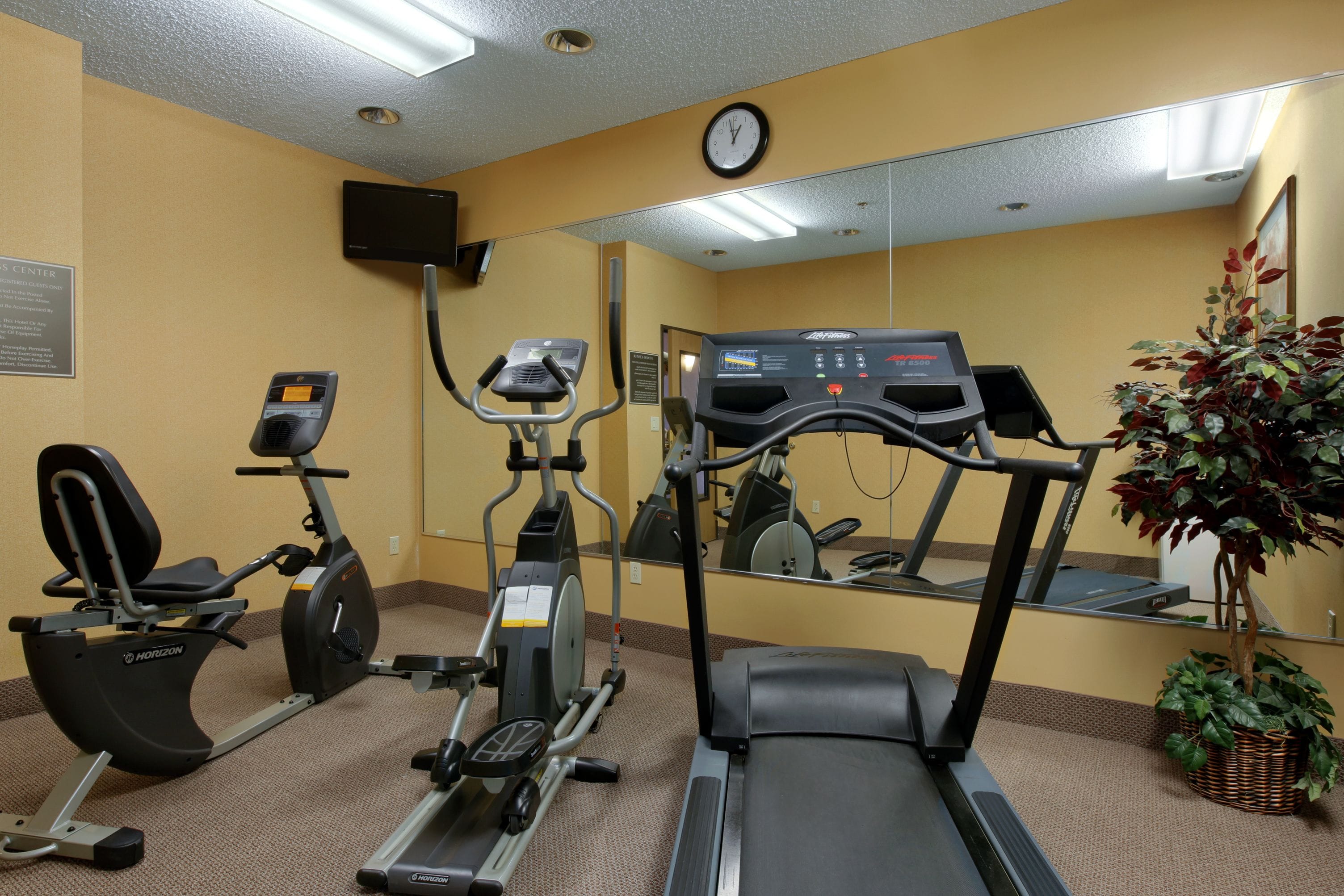 A gym with treadmills, stationary bikes, and an elliptical machine.