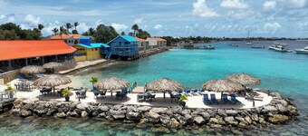 Divi Flamingo Beach Resort & Casino