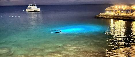 A boat on calm waters, a clear horizon, and a distant shoreline with structures.