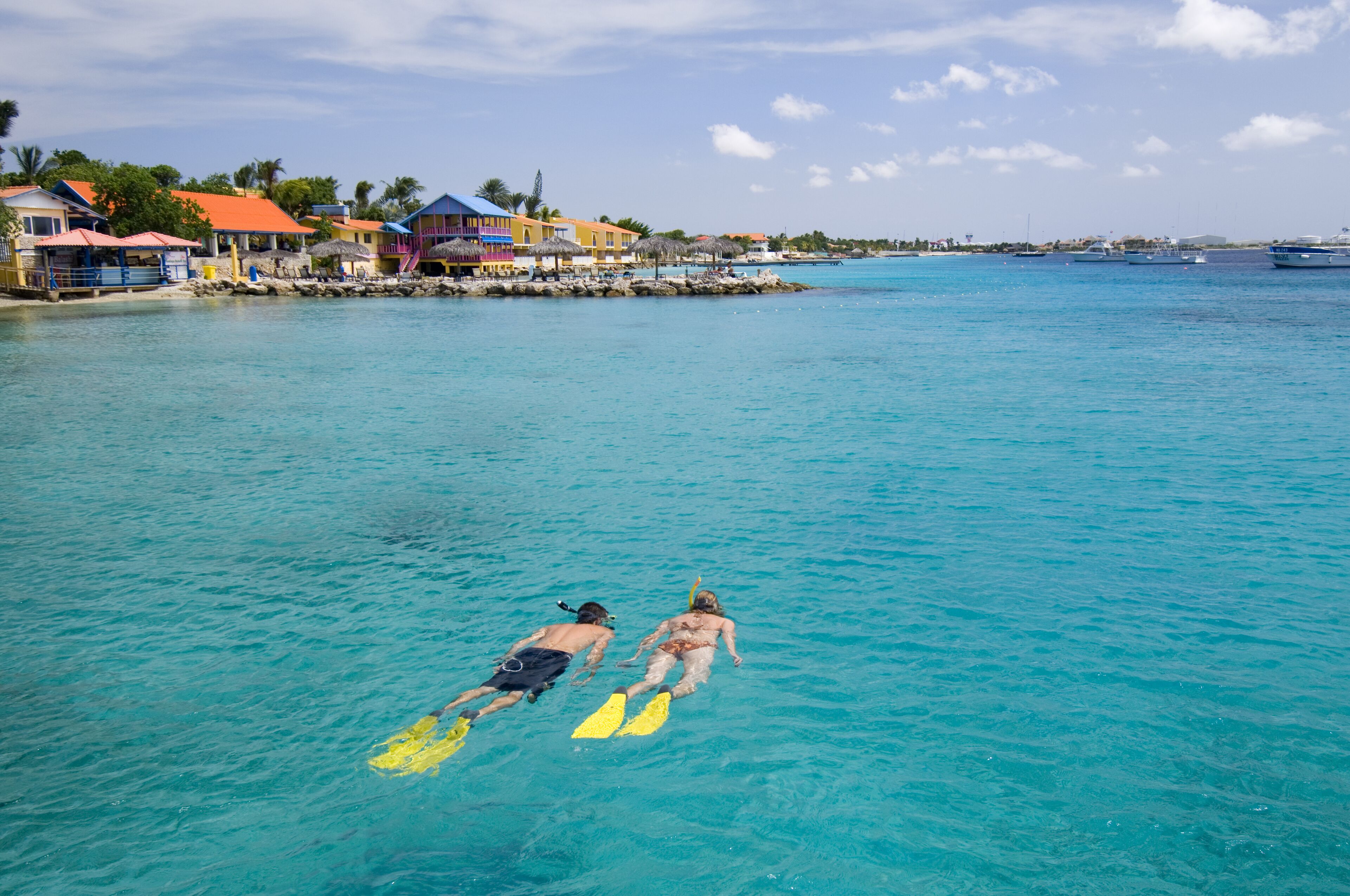 A coastal area with clear turquoise water, a couple snorkeling, and colorful buildings along the shore.