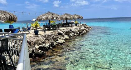 Divi Flamingo Beach Resort & Casino