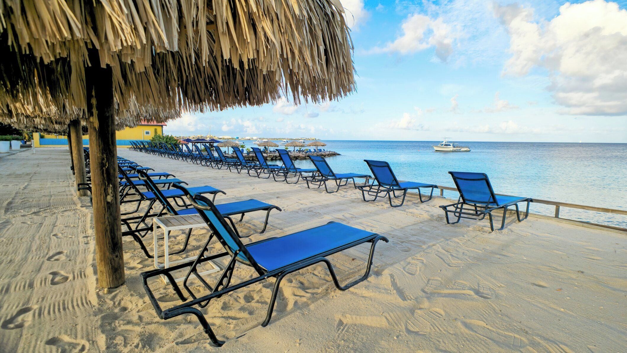 A beachside lounge with rows of blue lounge chairs and a thatched roof structure.