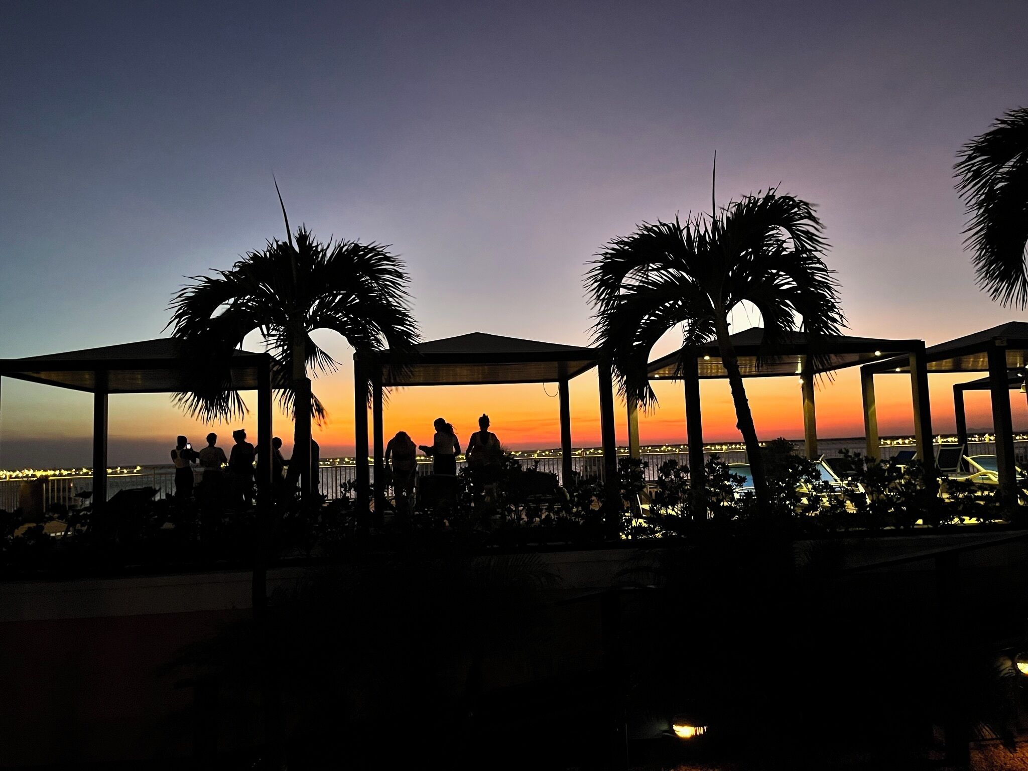 Terraza en la azotea con palmeras y gente.