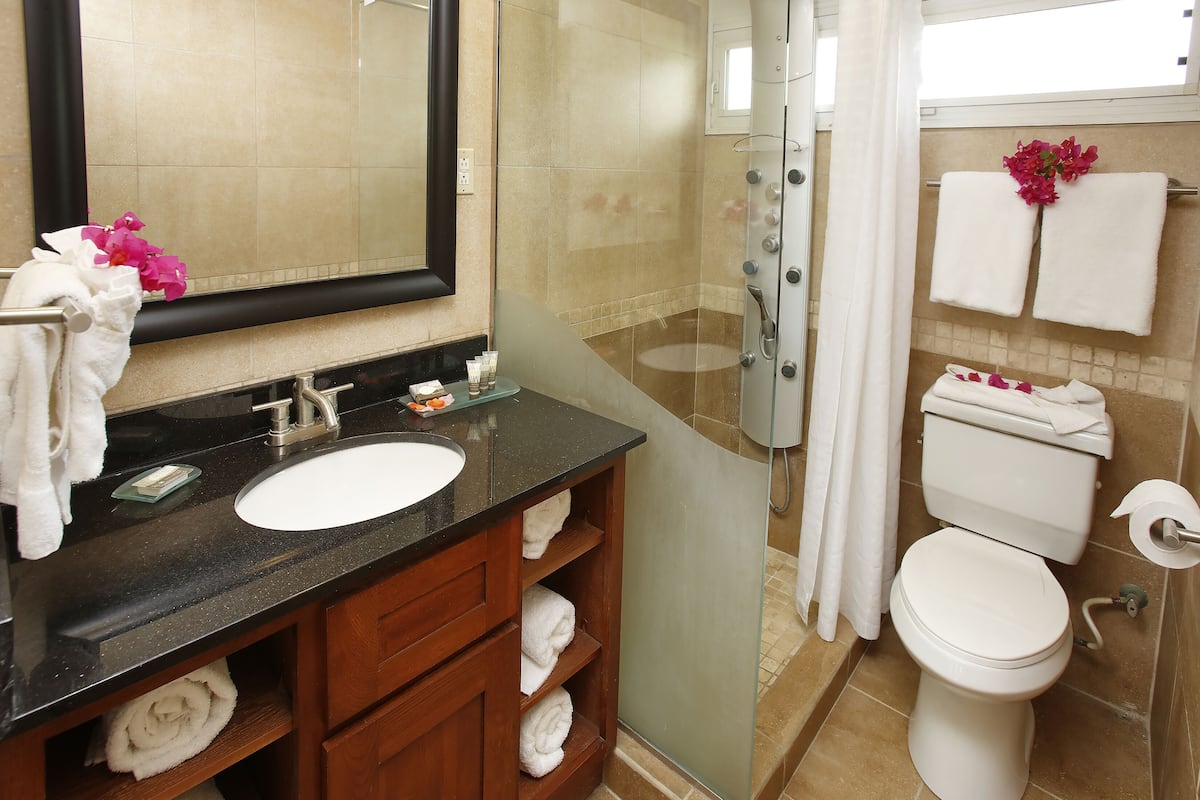 studio suite | bathroom | shower, free toiletries, towels