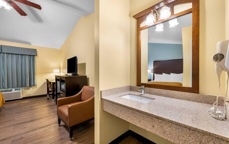 A hotel room with a wooden floor, a large mirror, a sink, a hairdryer, a television, and a chair.