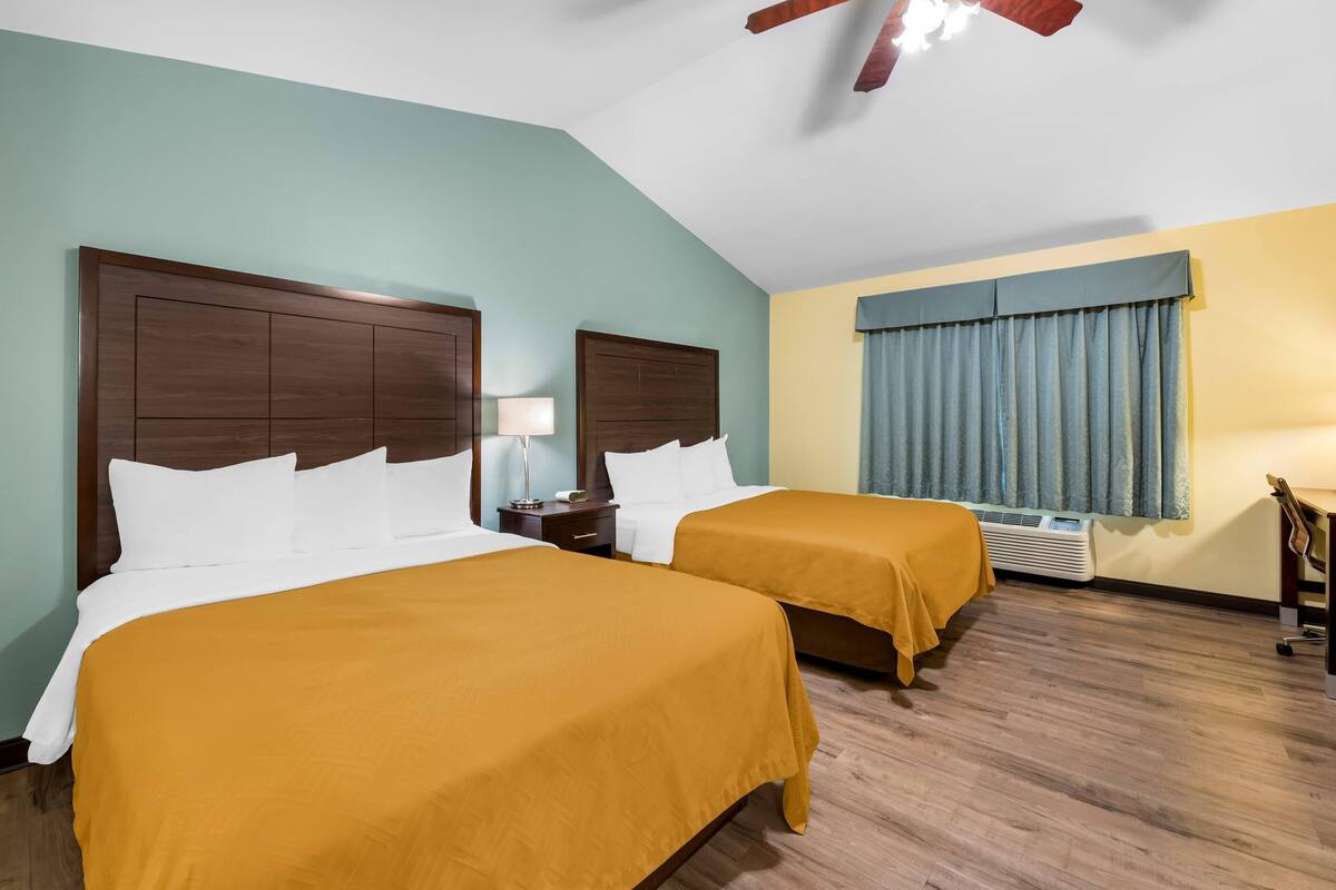 Desk, free WiFi, bed sheets