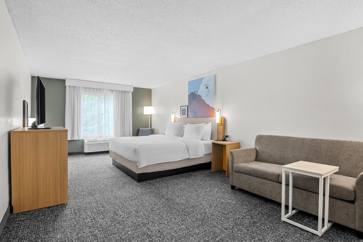 Room, 1 King Bed with Sofa bed | Living area | 32-inch LCD TV with cable channels, TV