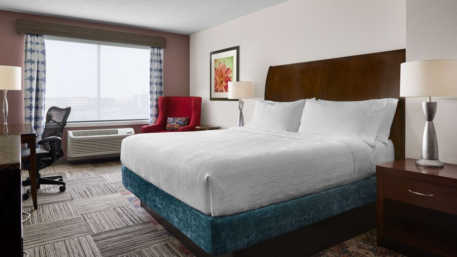Hilton Garden Inn Denver South Park Meadows Area