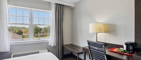 A hotel room with a bed, a desk, a chair, a lamp, and a view of the outdoors.