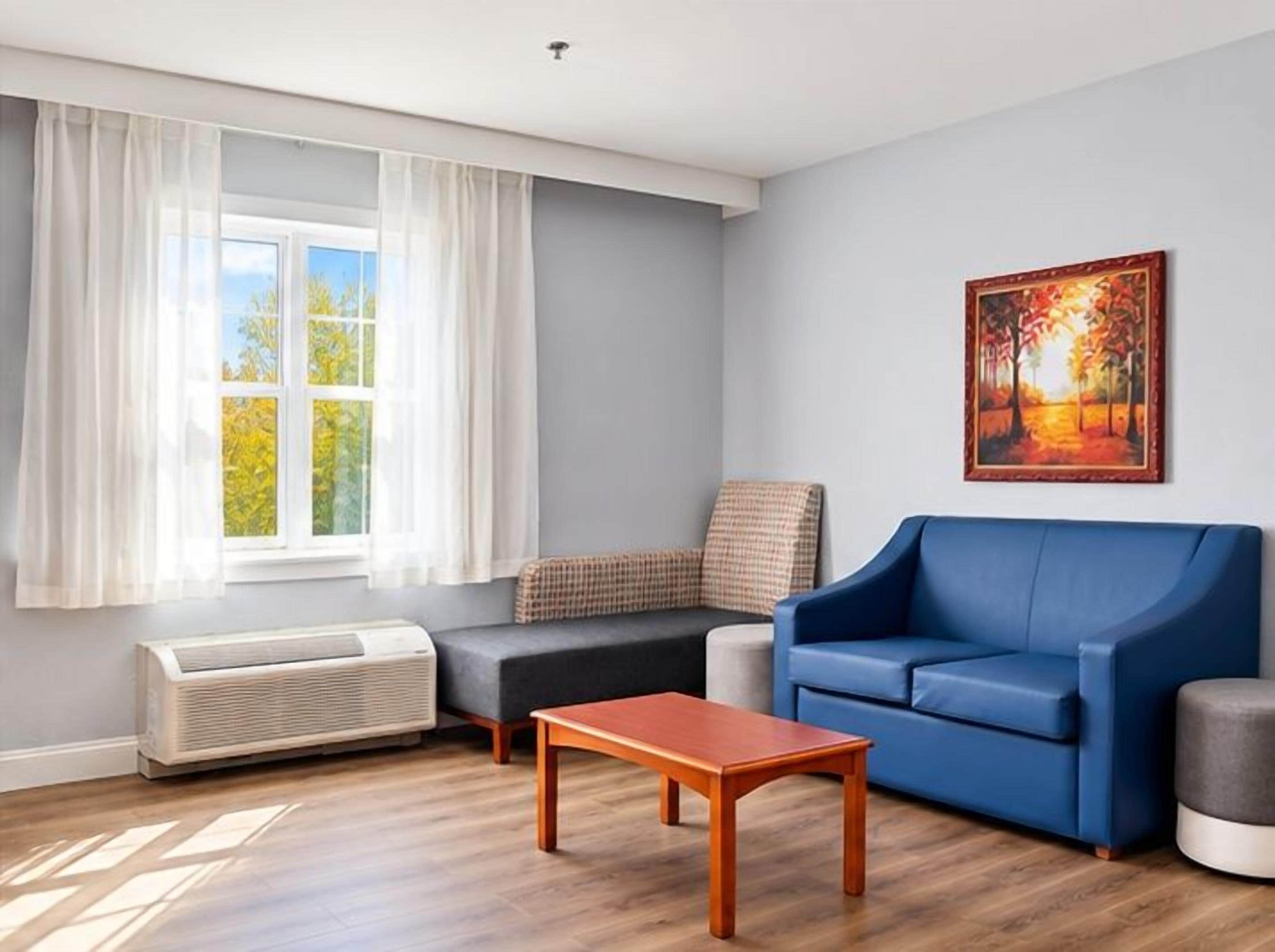 A living room with a blue sofa, a wooden coffee table, a gray armchair, and a window with white curtains.