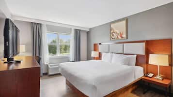 Business Room, 1 King Bed, Non Smoking | Individually furnished, desk, iron/ironing board, free cribs/infant beds