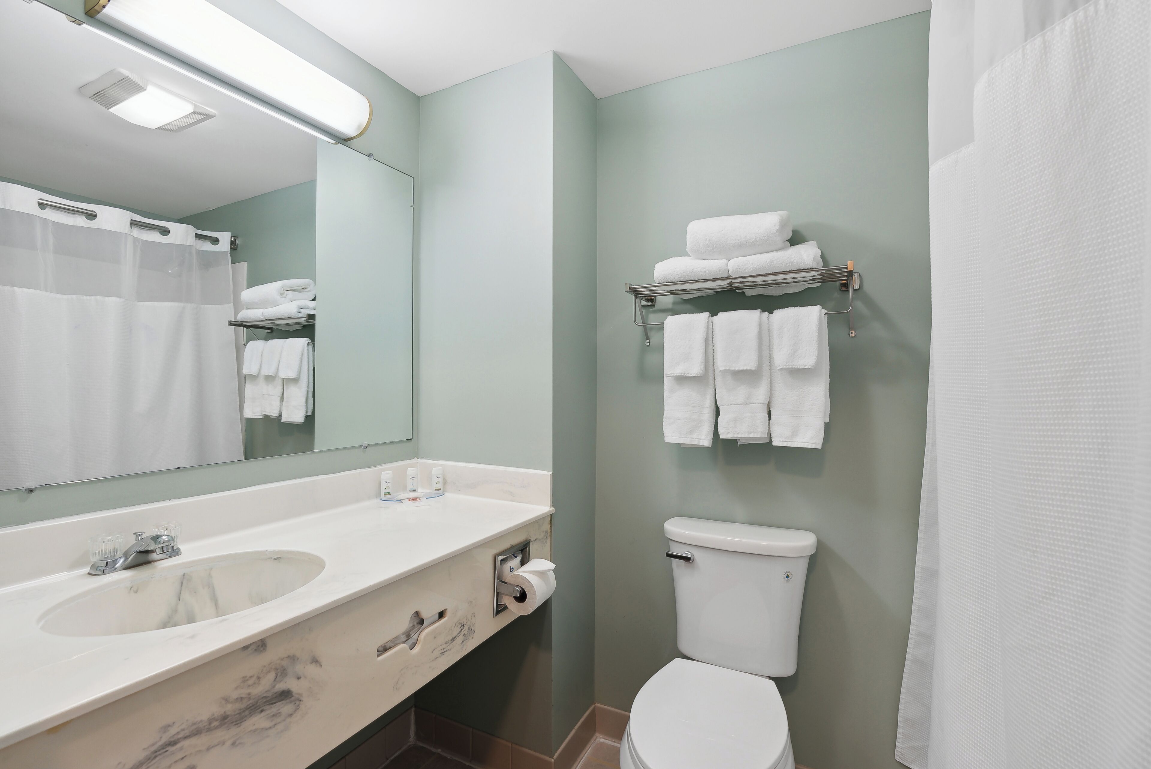 Business Room, 1 King Bed, Non Smoking | Bathroom | Combined shower/bathtub, free toiletries, hair dryer, towels