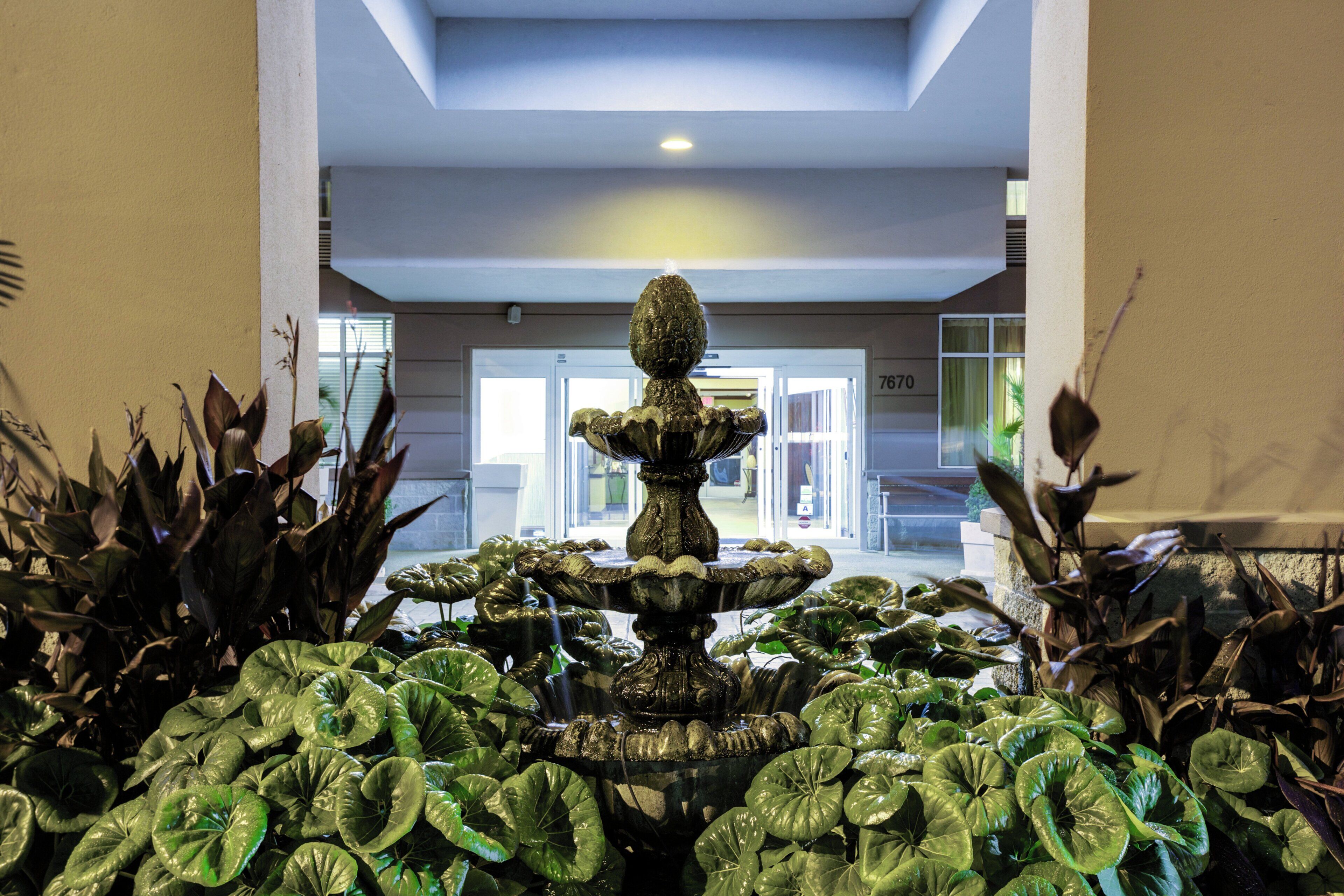 A fountain with a statue in the center, surrounded by lush green foliage.
