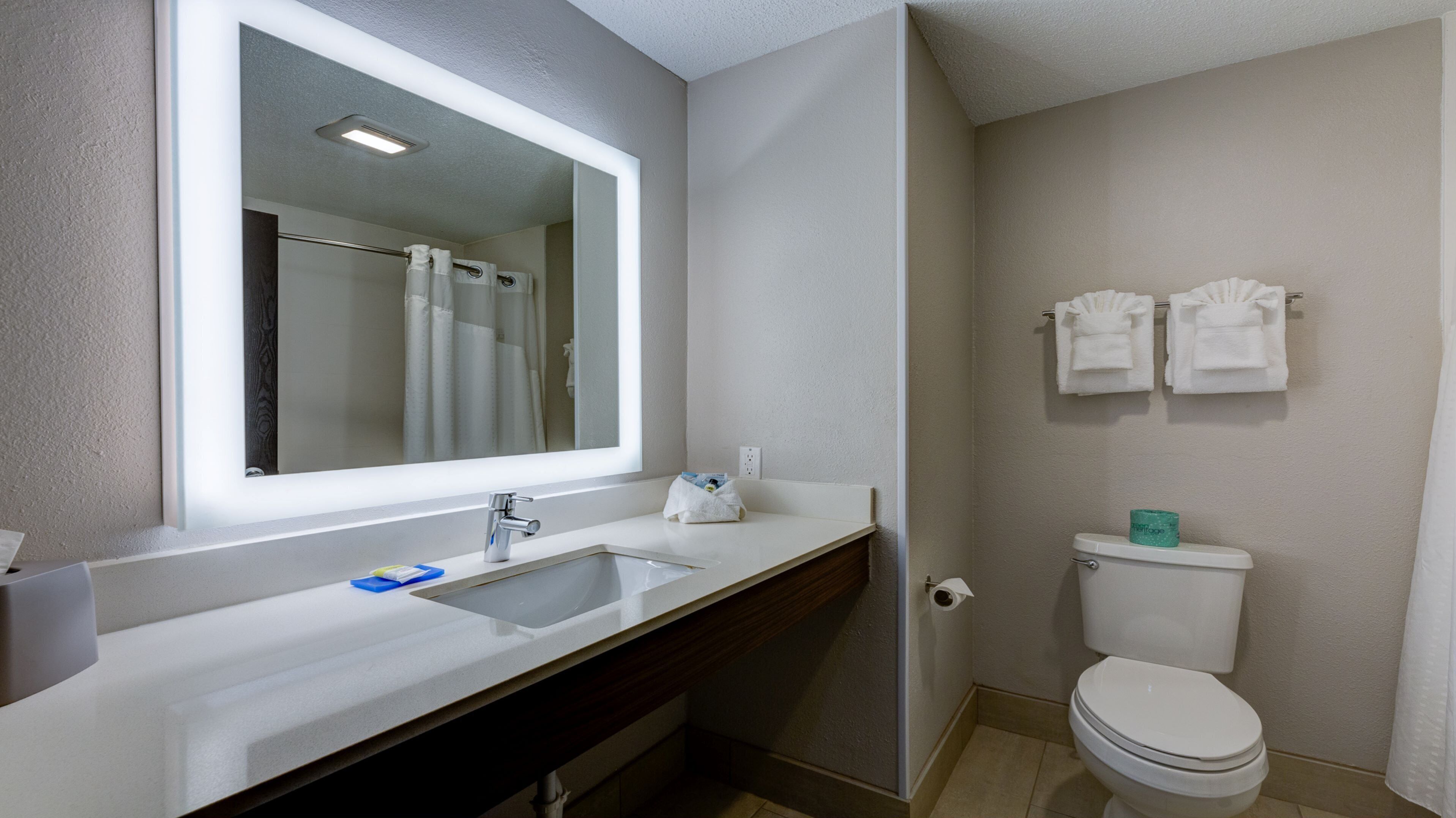 A bathroom with a sink, mirror, toilet, and towel rack.