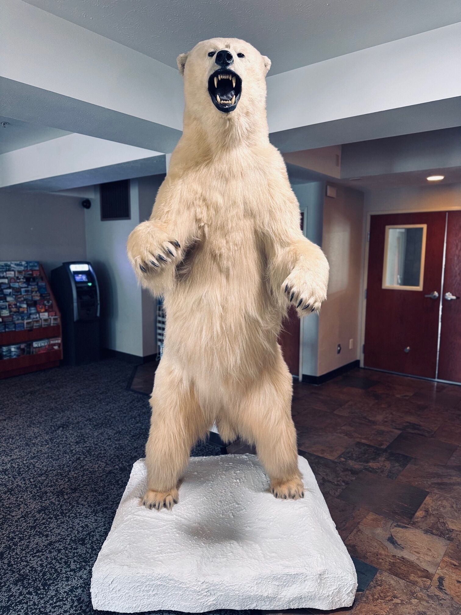 منطقة الجلوس في الردهة