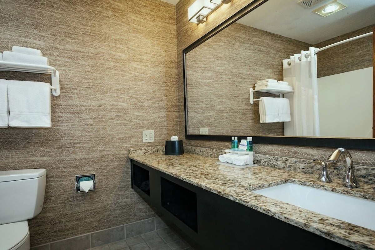 combined shower/bathtub, free toiletries, hair dryer, towels