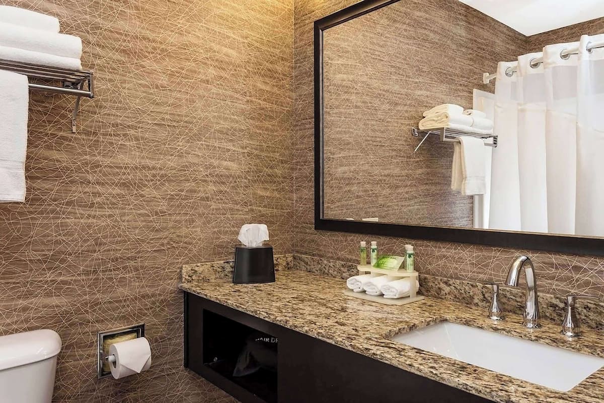 combined shower/bathtub, free toiletries, hair dryer, towels