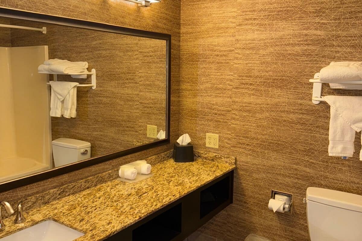 combined shower/bathtub, free toiletries, hair dryer, towels