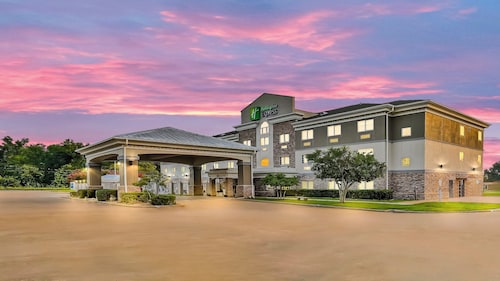 Holiday Inn Express Palestine by IHG