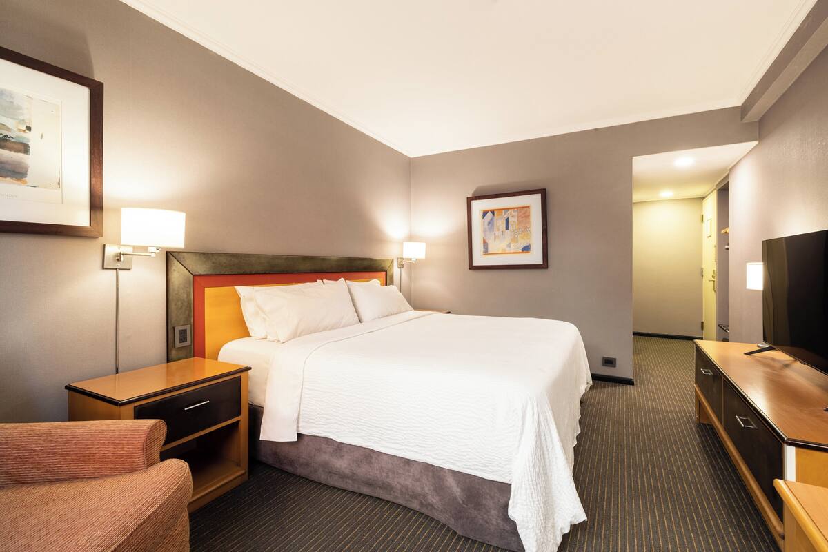 A hotel room with a bed, a desk, a chair, a TV, and a framed picture on the wall.