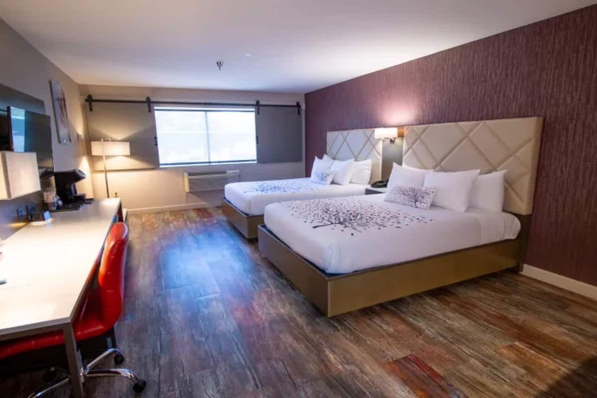 Premium bedding, in-room safe, desk, blackout drapes