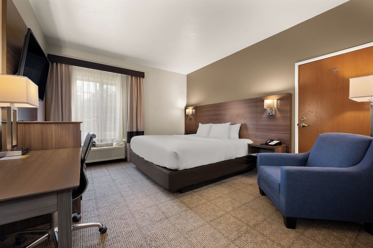 Room, 1 King Bed, Accessible, Non Smoking | 1 bedroom, desk, blackout drapes, soundproofing