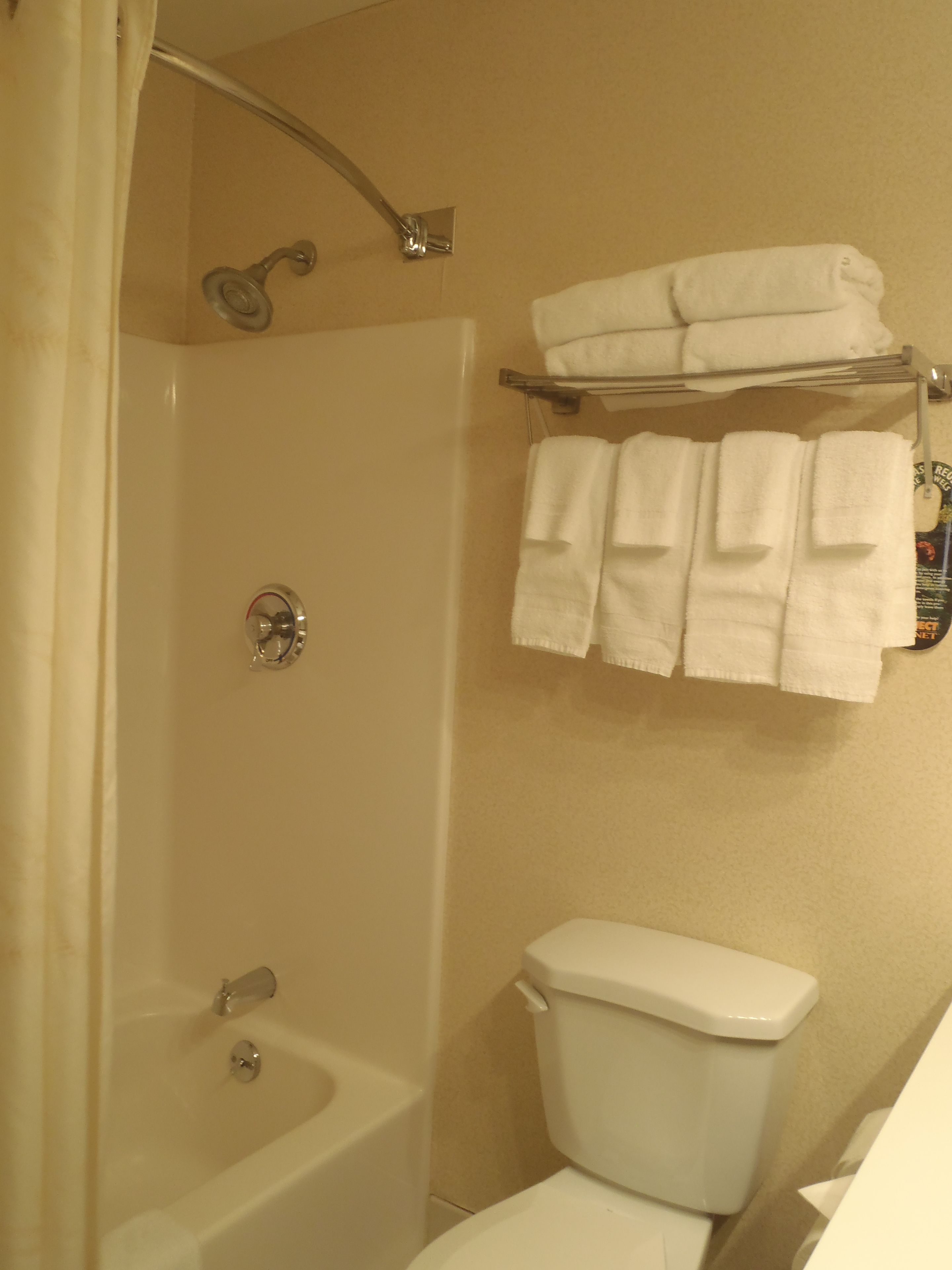 hydromassage showerhead, hair dryer, towels
