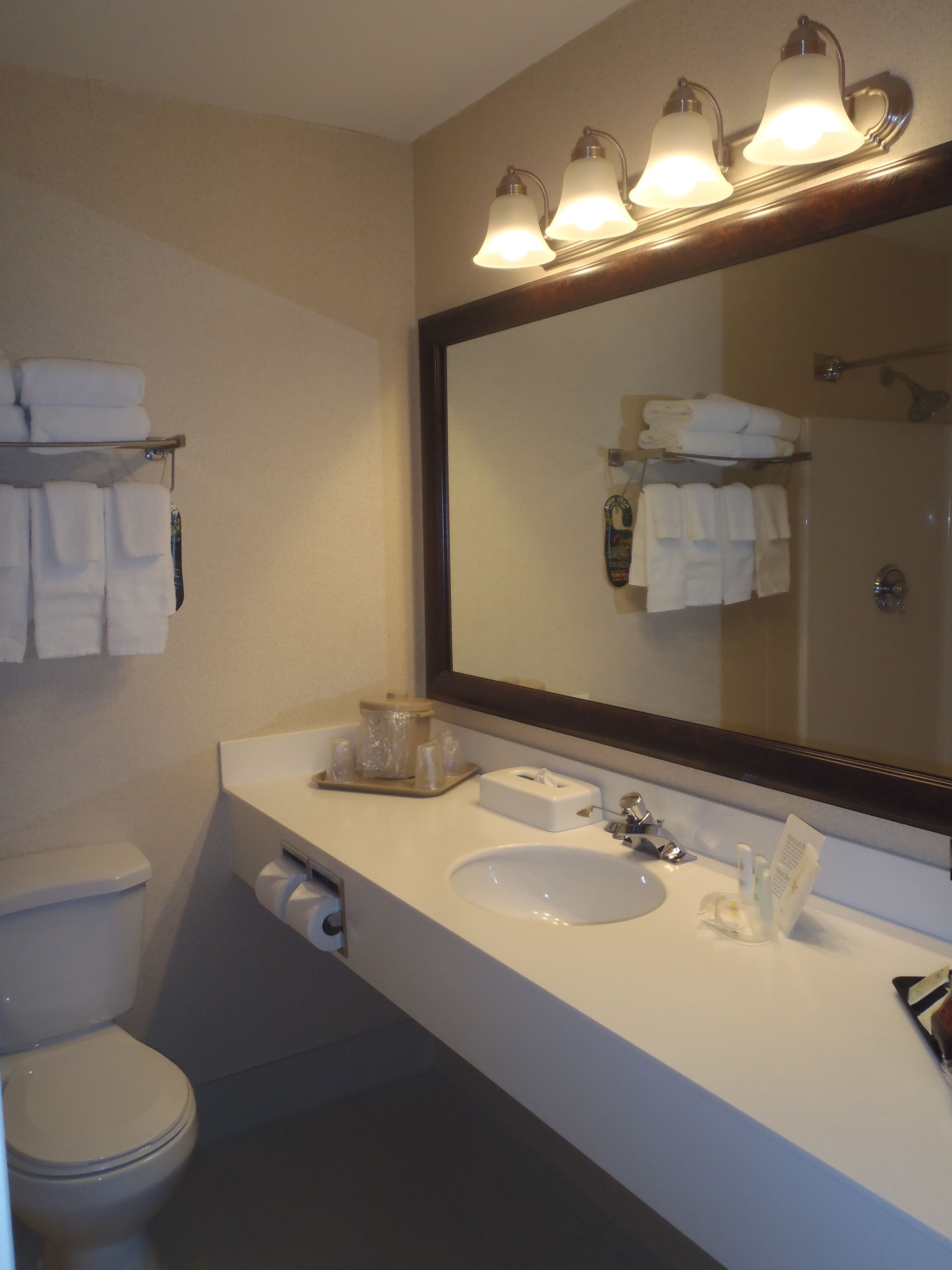 hydromassage showerhead, hair dryer, towels