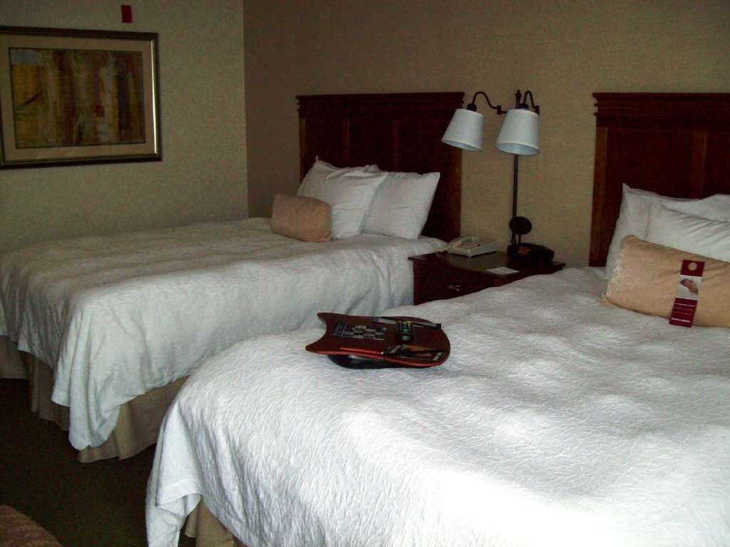 Habitación de hotel con dos camas individuales, una mesita de noche con lámpara y un cuadro en la pared.
