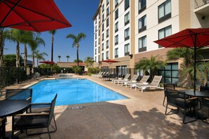 Outdoor pool, sun loungers