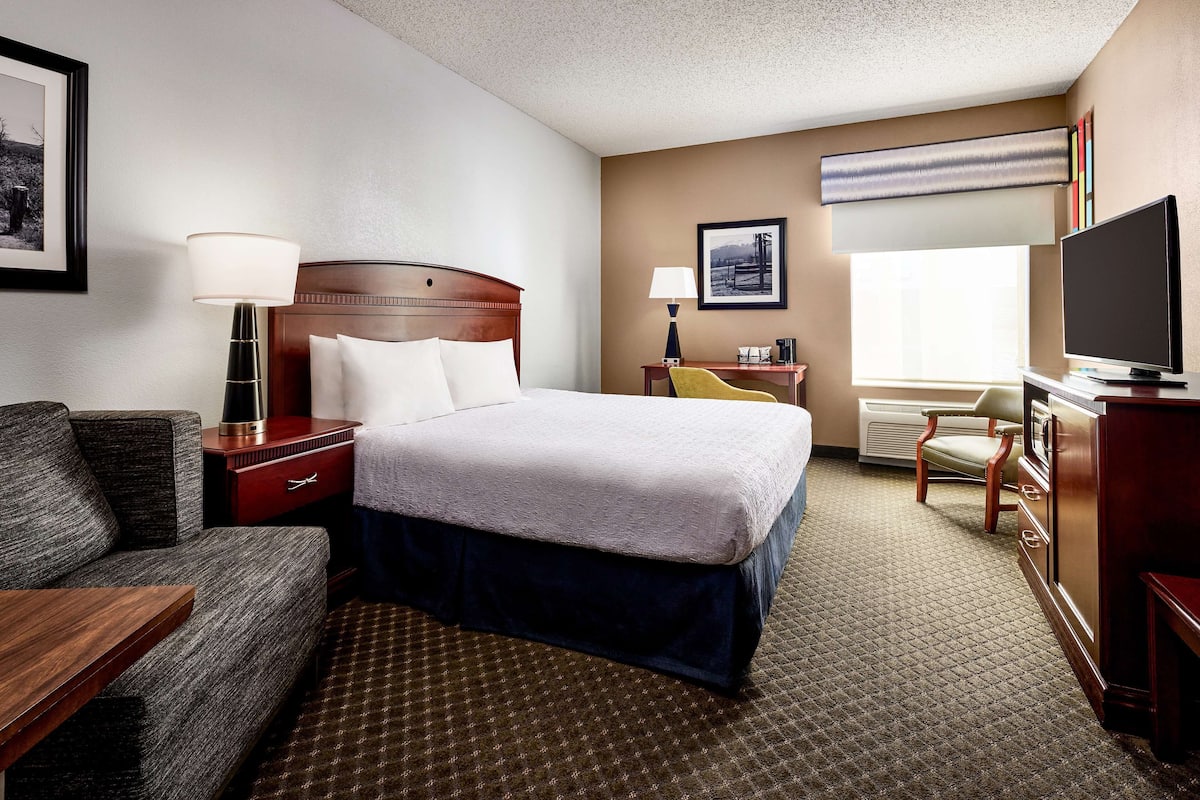 A hotel room with a bed, a desk, a chair, a television, and a window with a view.