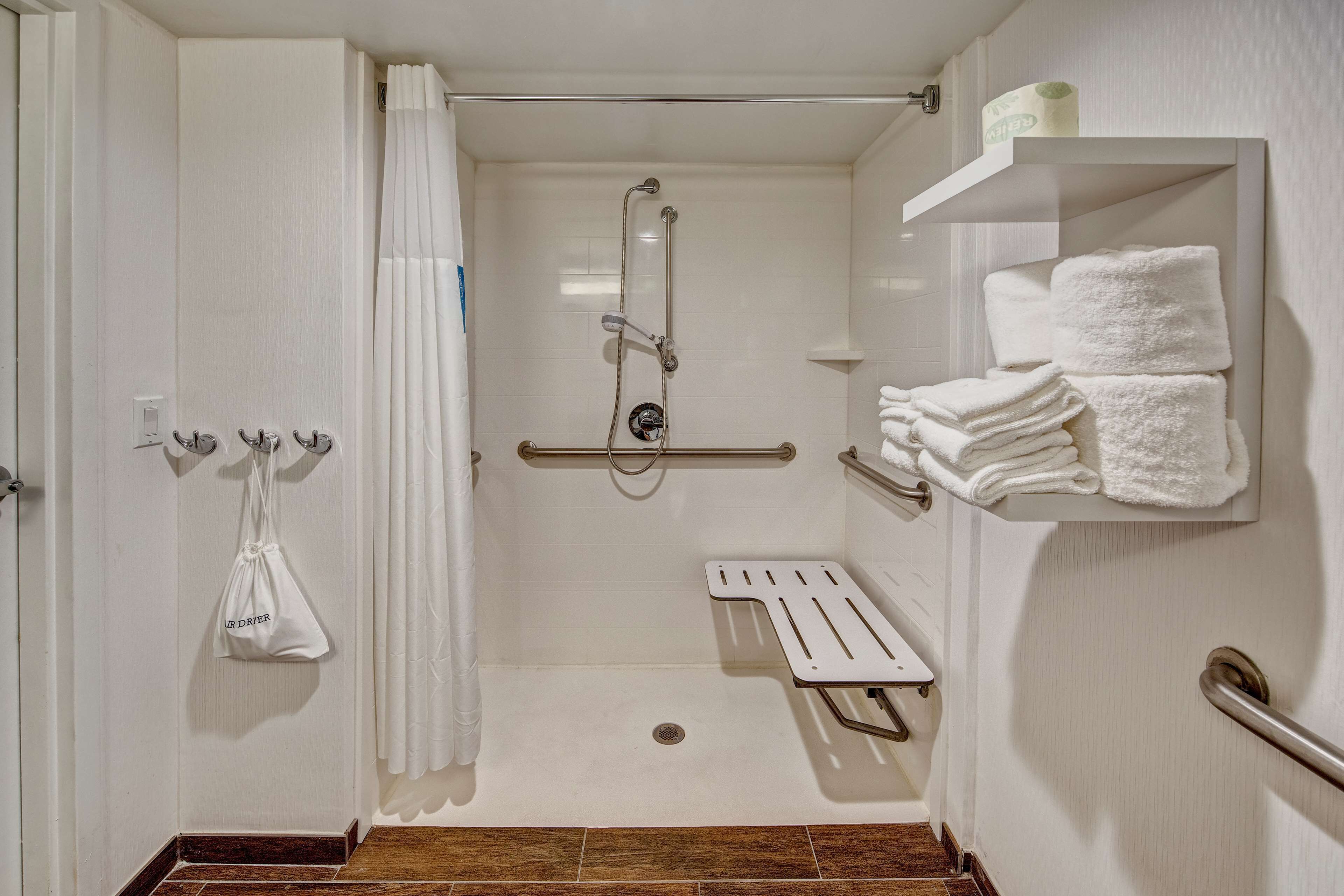 room, 1 king bed, accessible, non smoking | bathroom shower