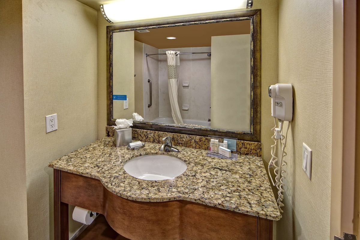 A bathroom with a granite countertop sink, a mirror, a handheld showerhead, and a hair dryer.