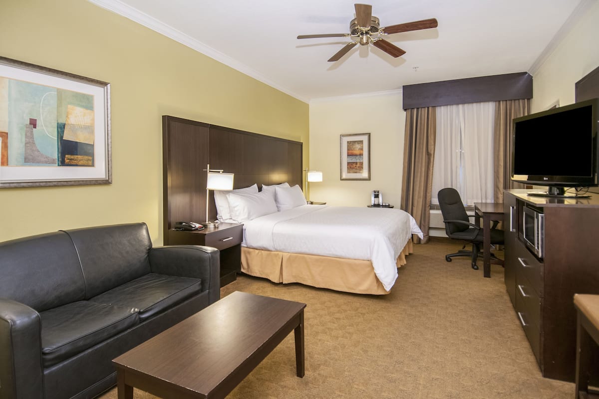 A hotel room with a bed, a desk, a television, a sofa, and a ceiling fan.