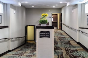 Corridoio di un hotel con cartelli direzionali per le stanze 2100-2321 e 3100-3329, una piccola pianta in vaso e un pavimento rivestito di moquette.