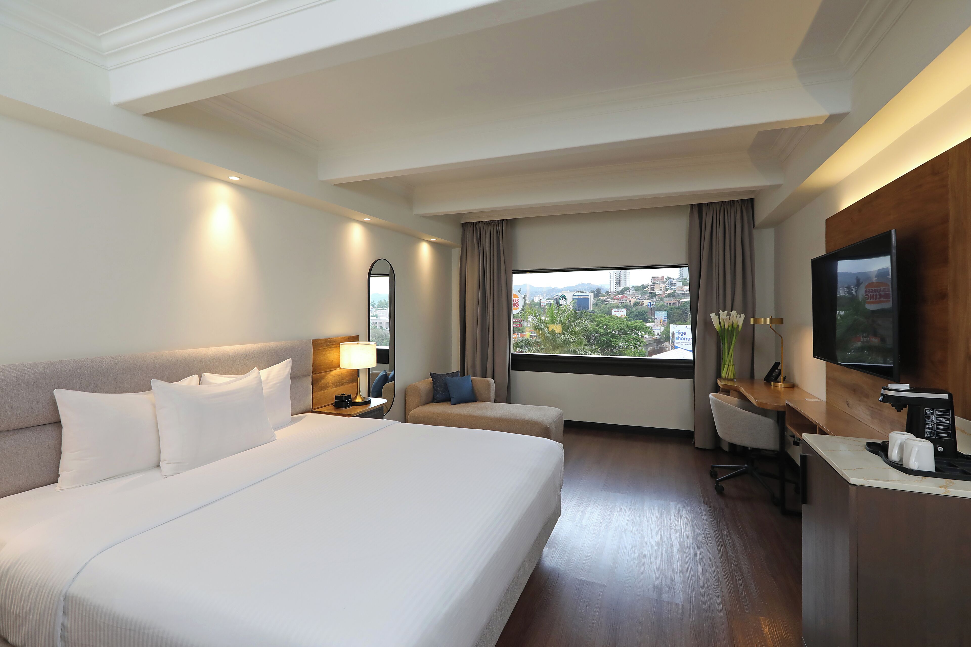 Business  King Room | View from room