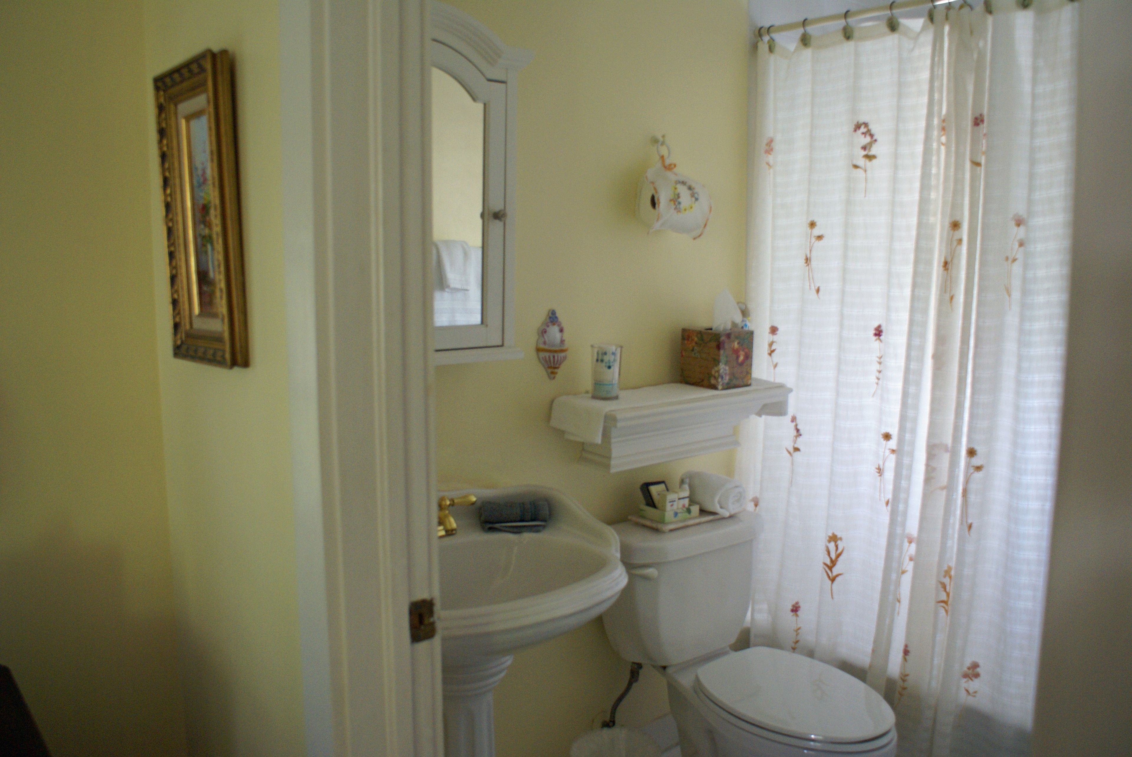 A bathroom with a pedestal sink, a toilet, a mirror, and a shower curtain with floral patterns.