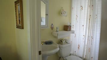 A bathroom with a pedestal sink, a toilet, a mirror, and a shower curtain with floral patterns.
